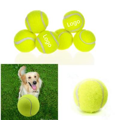 Pet Tennis Ball-EVKM6092